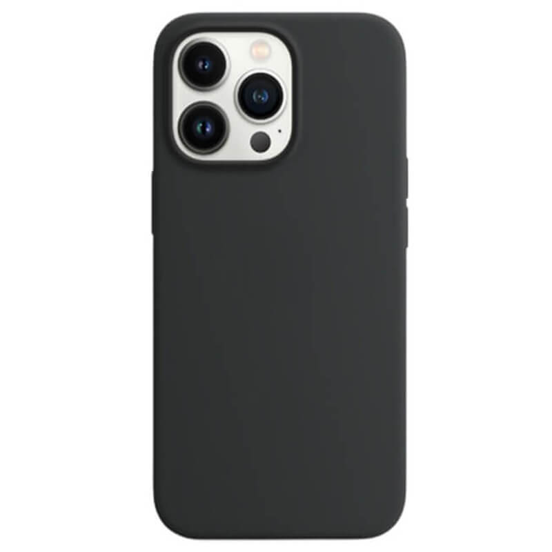 Magnetic Leather MagSafe kožený kryt pro Apple iPhone 11 Pro - černý